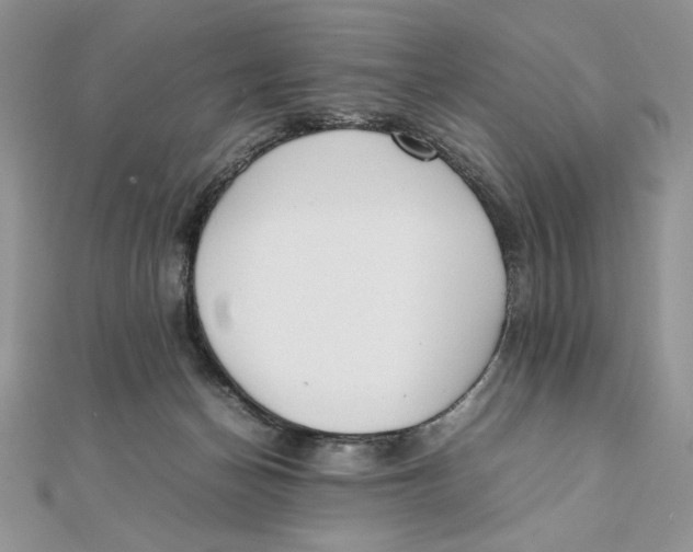 X0000111430174200908031339