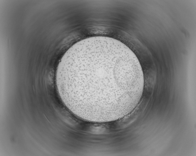 X0000111430175200908031339