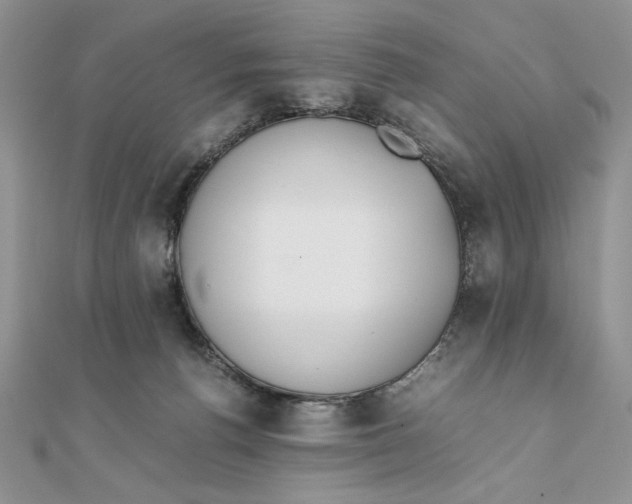 X0000111430176200908031339