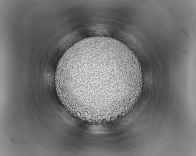 X0000111430177200908031339