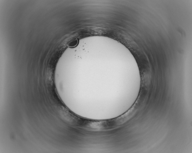 X0000111430178200908031339