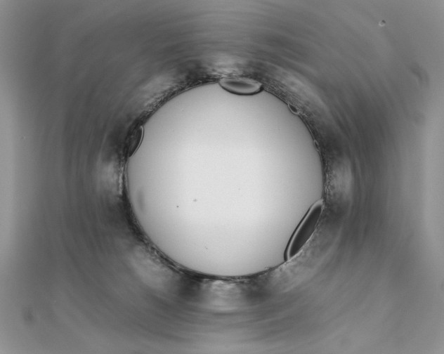 X0000111430180200908031339