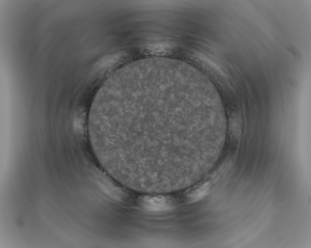 X0000111430181200908031339