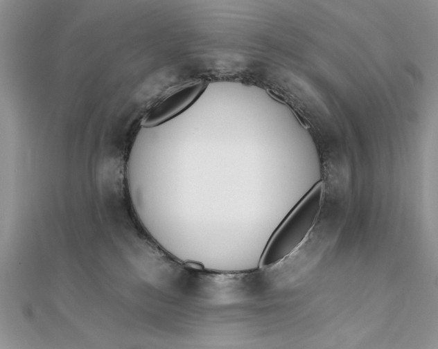 X0000111430184200908031339