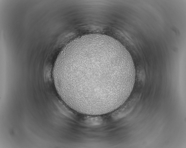 X0000111430185200908031339