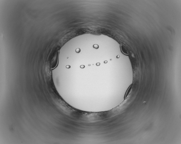 X0000111430186200908031339