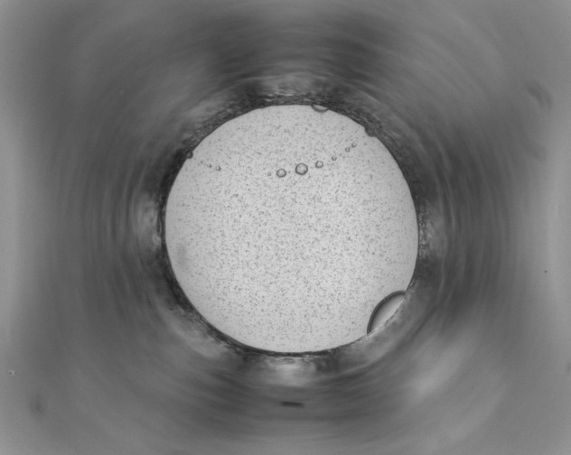 X0000111430187200908031339