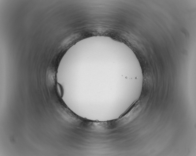 X0000111430188200908031339