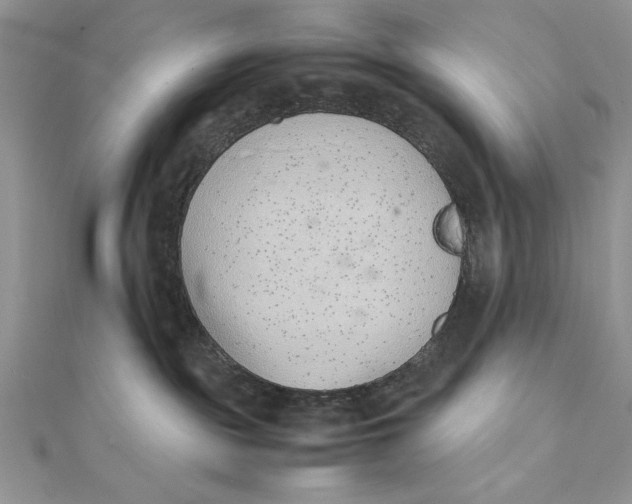 X0000111430189200908031339