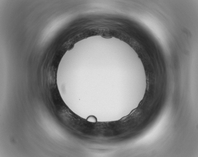 X0000111430190200908031339