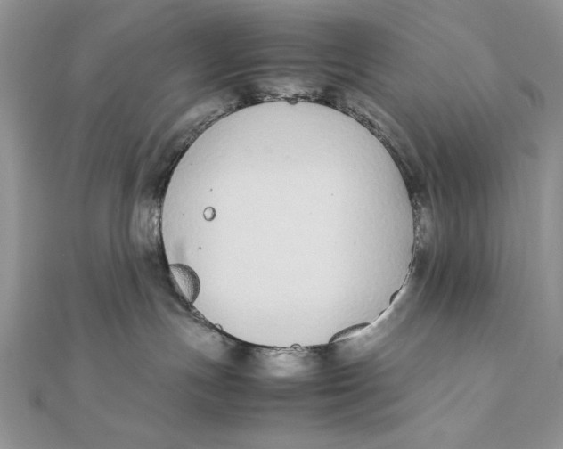 X0000111430191200908031339