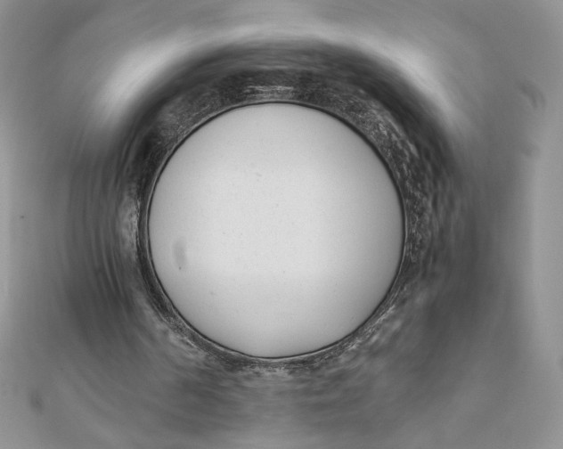 X0000111430194200908031338