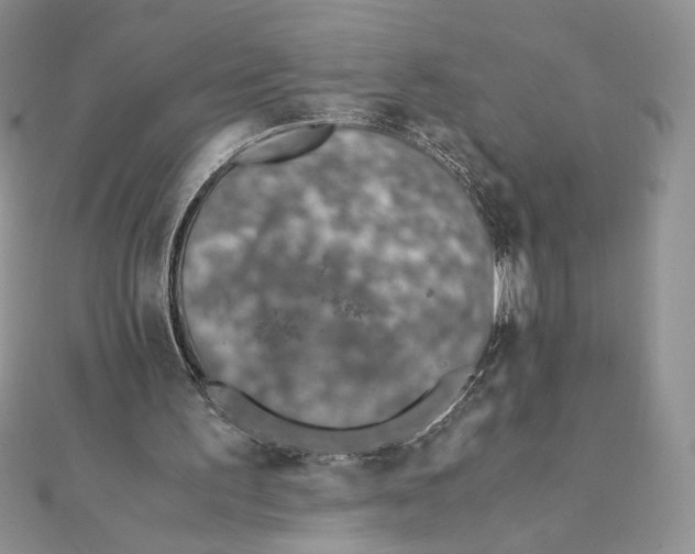 X0000111430195200908031338