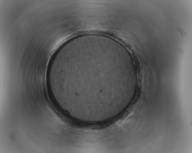 X0000111430196200908031338