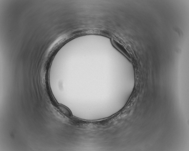 X0000111430197200908031338