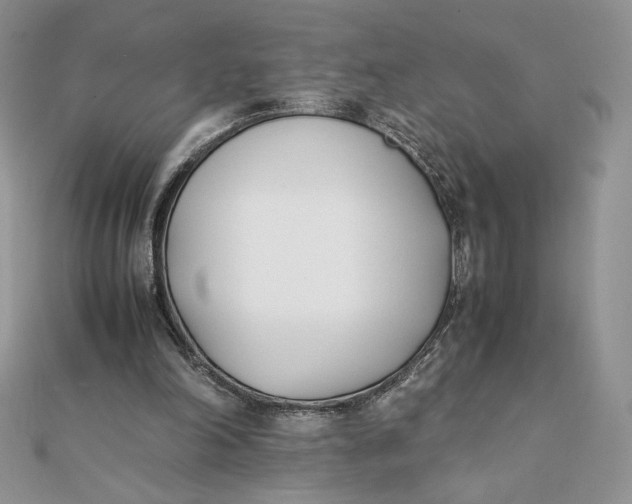 X0000111430198200908031338