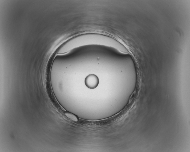 X0000111430199200908031338