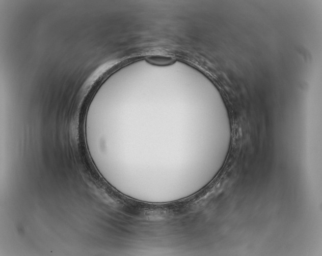 X0000111430200200908031338