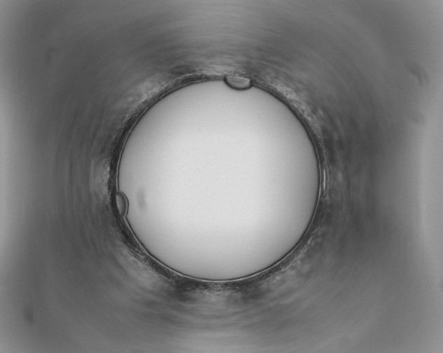 X0000111430201200908031338