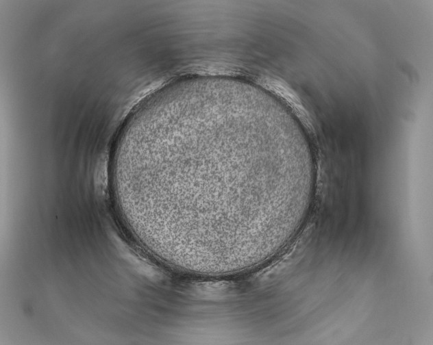 X0000111430202200908031338