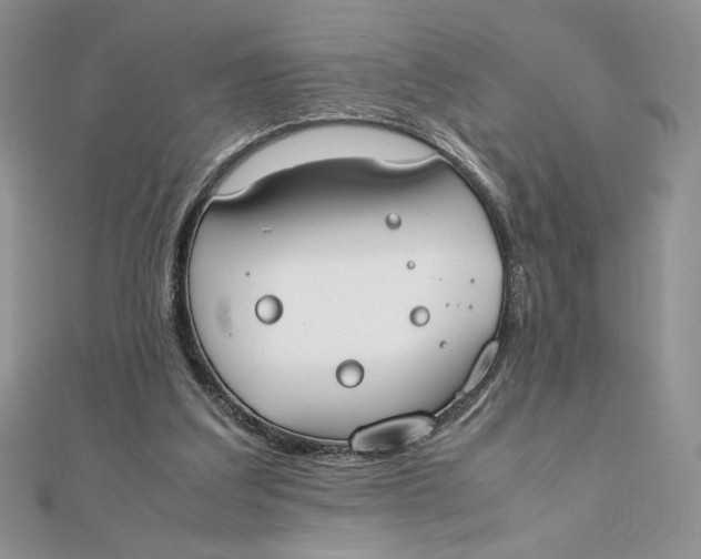 X0000111430203200908031338