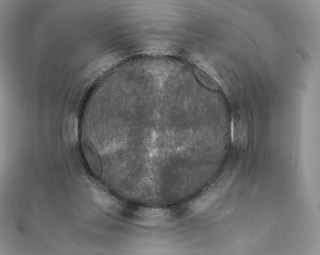 X0000111430205200908031338