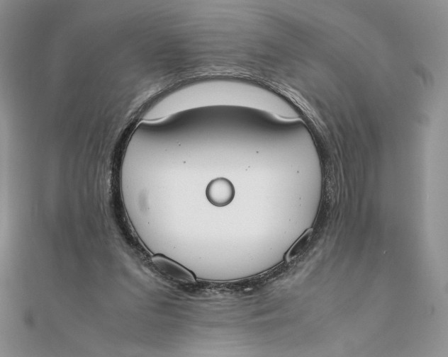 X0000111430207200908031338