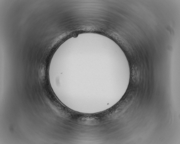 X0000111430208200908031338