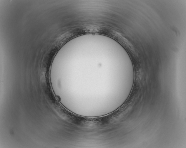 X0000111430209200908031338