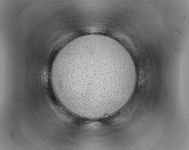 X0000111430210200908031338