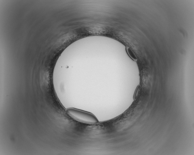 X0000111430211200908031338