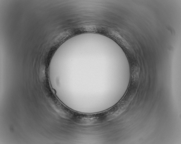 X0000111430213200908031338