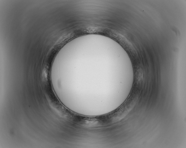 X0000111430214200908031338