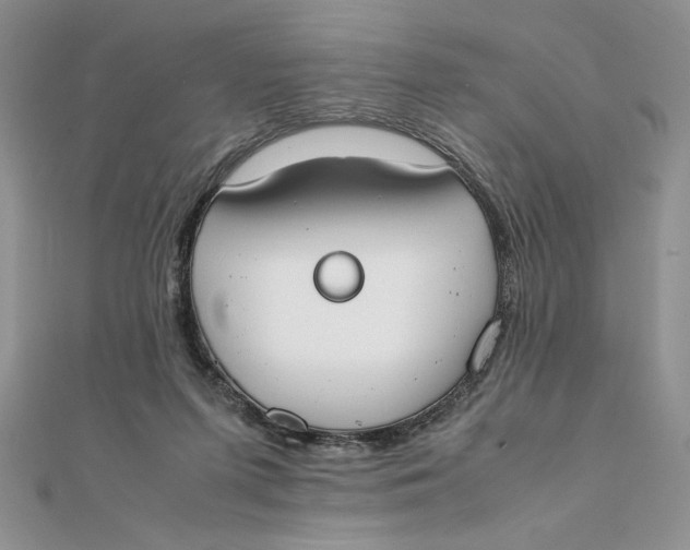 X0000111430215200908031338