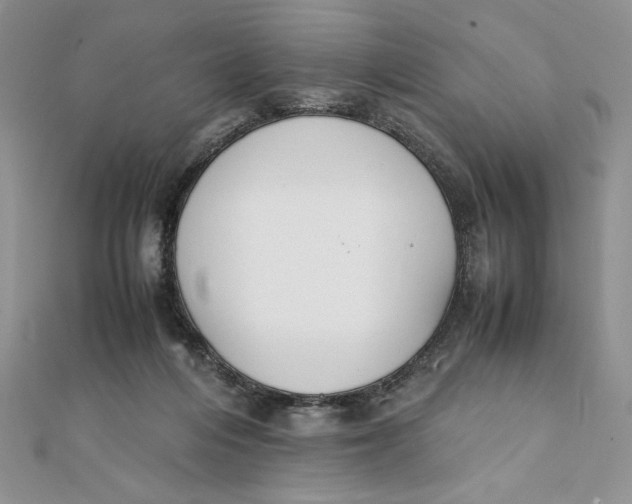 X0000111430216200908031338