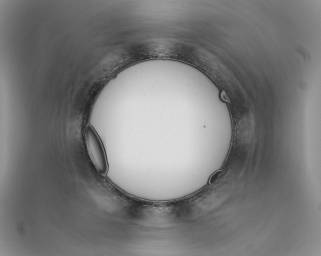 X0000111430217200908031338