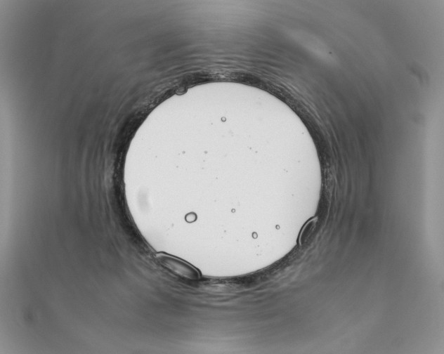 X0000111430221200908031338