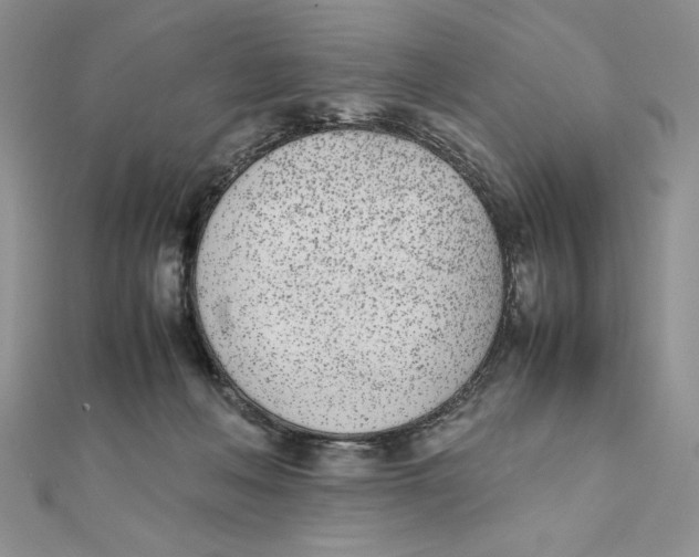 X0000111430222200908031338