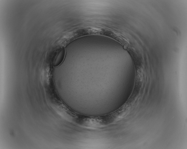 X0000111430223200908031338