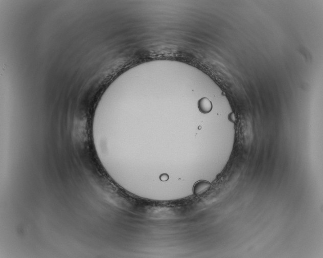 X0000111430224200908031338