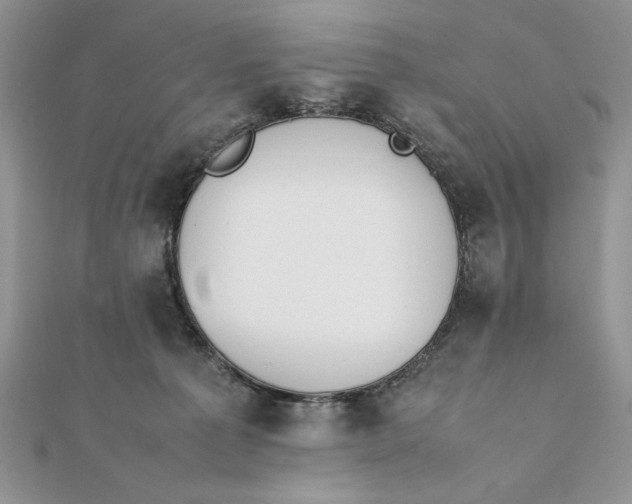 X0000111430225200908031338