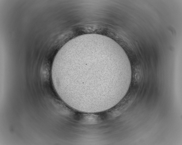 X0000111430226200908031338