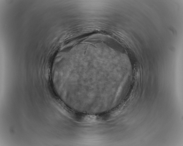 X0000111430227200908031338