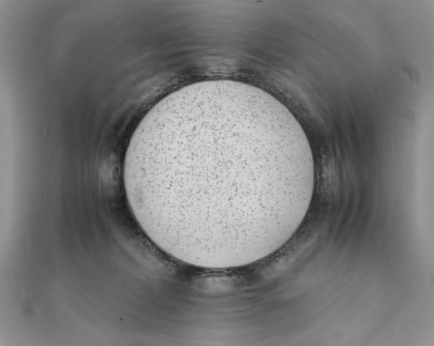 X0000111430228200908031338