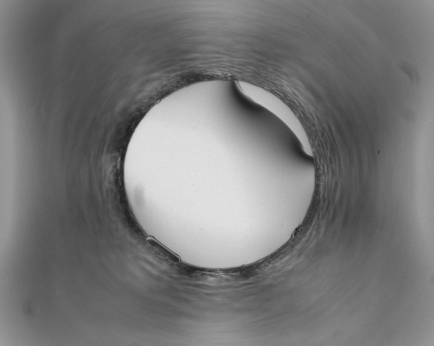 X0000111430229200908031338