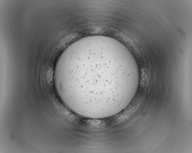 X0000111430230200908031338