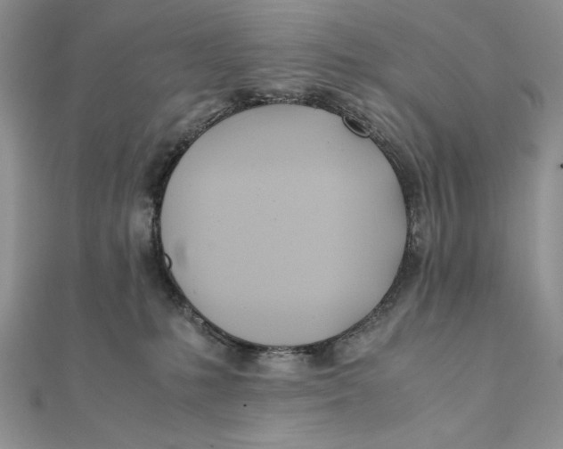 X0000111430231200908031338