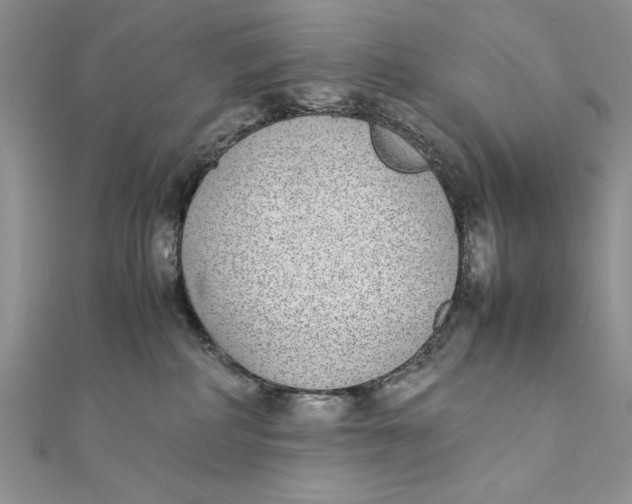 X0000111430234200908031338