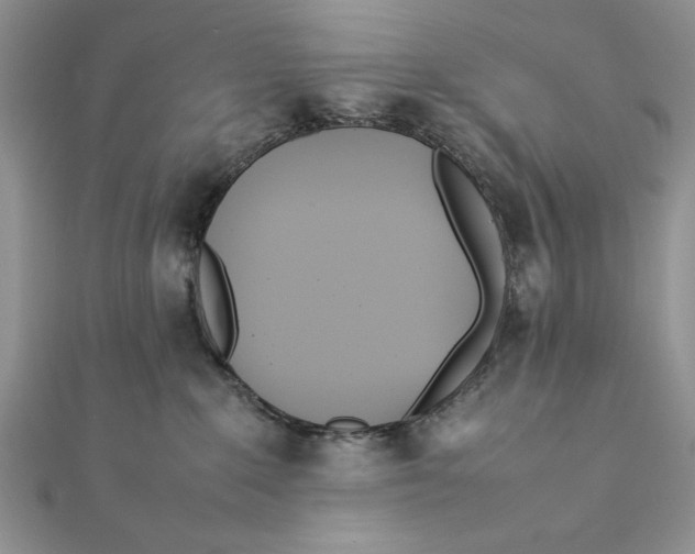 X0000111430235200908031338