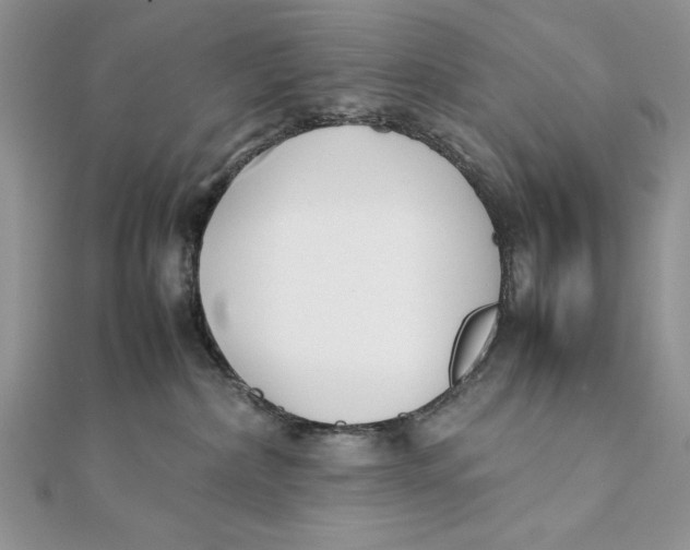 X0000111430236200908031338